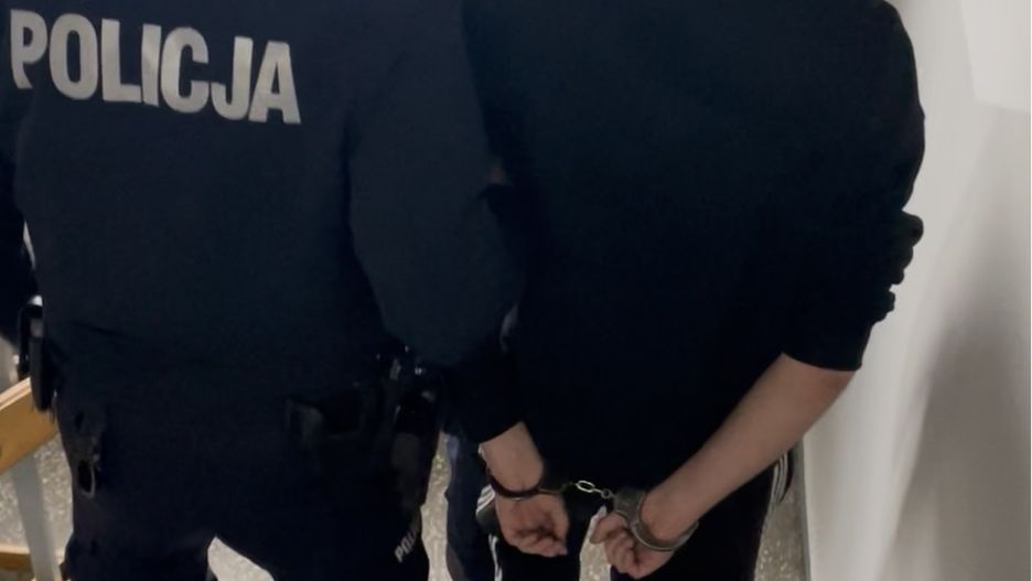 Fot. Licencjodawca