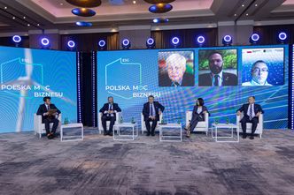 W jakim kierunku będzie rozwijać się polska energetyka?