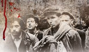 UKraina zbrodni