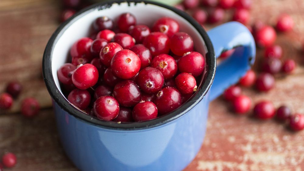 Żurawina - właściwości, w ciąży, przepisy