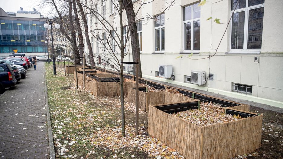  Osiedle dla jeży na terenie Akademii Górniczo-Hutniczej w Krakowie.