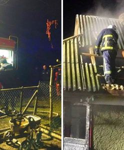Tragedia pod Odessą. Nie żyje kobieta i troje małych dzieci