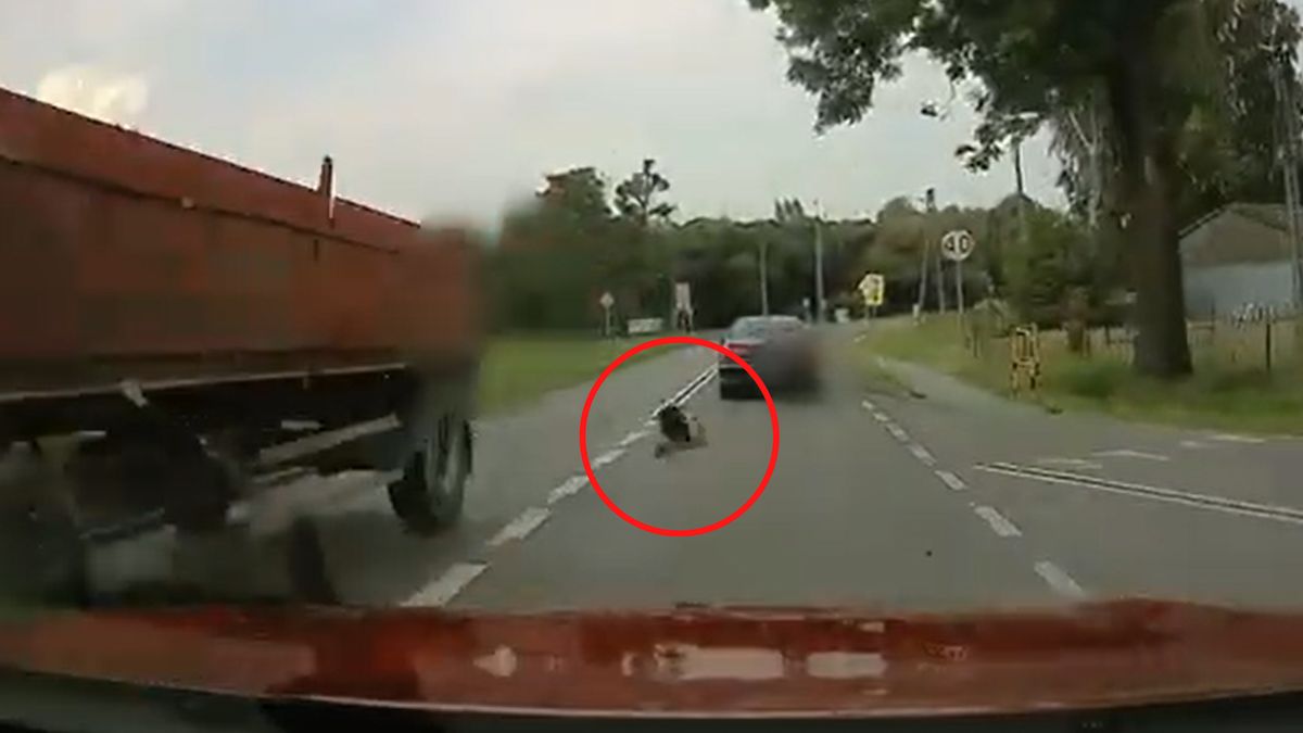 Koszmarne zdarzenie na drodze