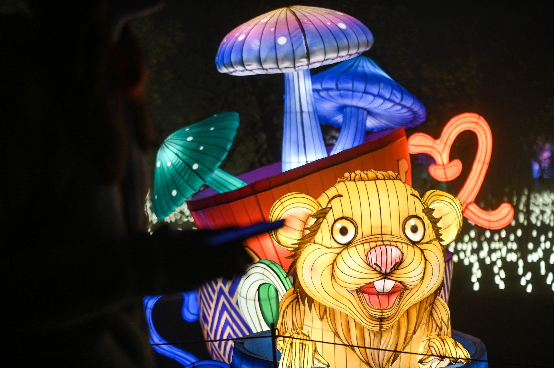Garden Of Lights - Ogród Światła w Powsinie w 2024 zmienił się w krainę czarów Alicji. Jak będzie w tym roku?