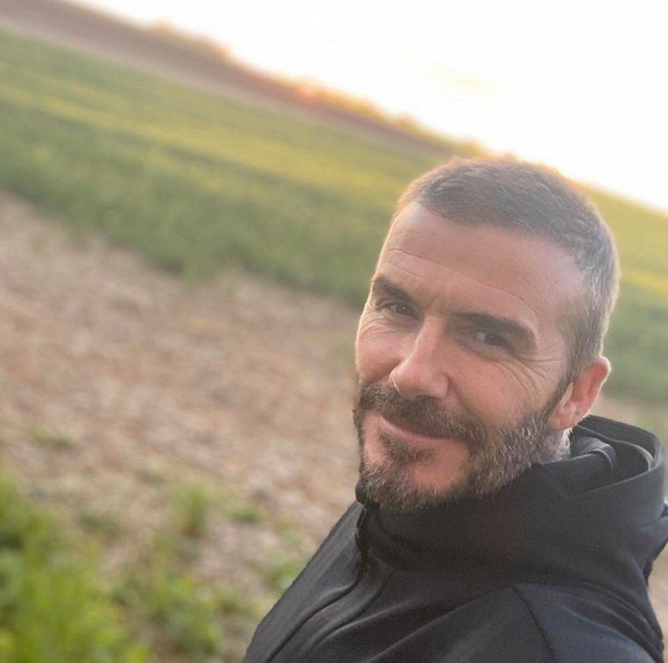 David Beckham