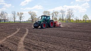 Belarus na celowniku urzędów. KRIR: "Czas skończyć ten bałagan"