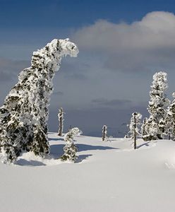 Śnieg w pierwszy dzień wiosny