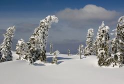 Śnieg w pierwszy dzień wiosny