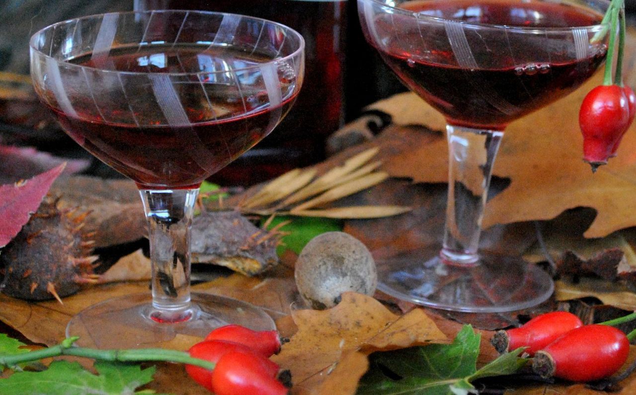 Nalewka z dzikiej róży – właściwości, zastosowanie i przepis