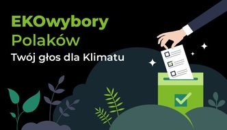 Oddaj swój głos na TOGETAIR ! Twój GŁOS dla klimatu!