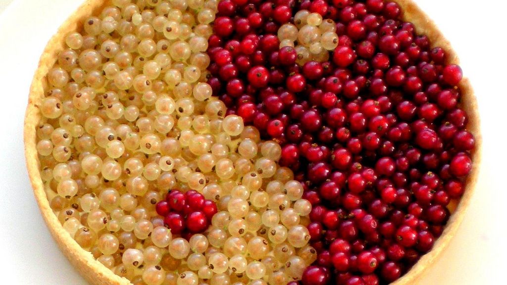 Czerwona porzeczka – właściwości, przetwory, cena