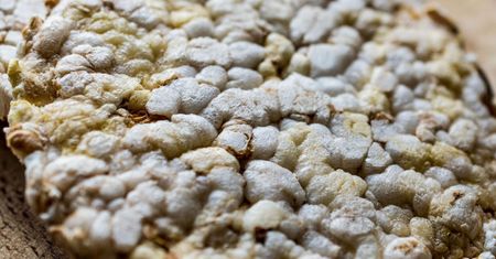 Tuczą i podnoszą cukier we krwi. Miliony Polaków je uwielbia