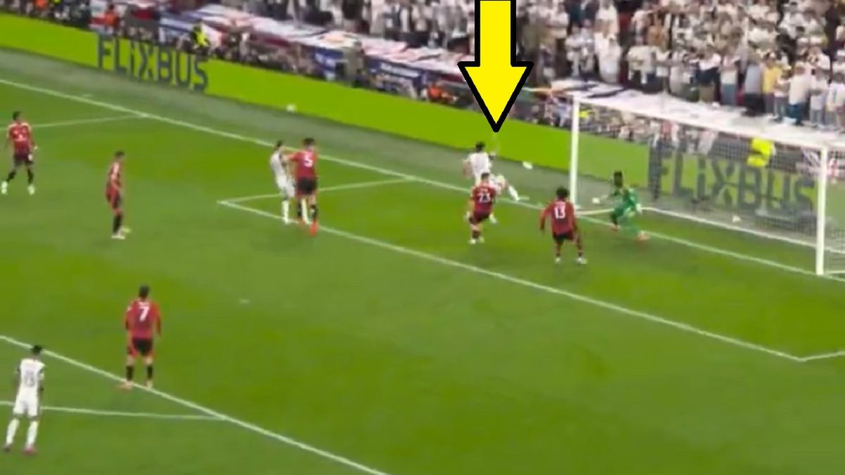 Twitter / Screen / Polsat Sport / Na zdjęciu: Brennan Johnson wprawił kibiców Tottenhamu w euforię