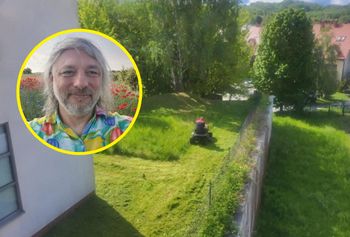 "Zdelegalizować kosiarki". Botanik apeluje