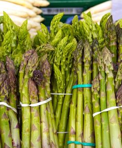 Są już polskie szparagi. Jest drogo, producenci ujawniają, co nas czeka