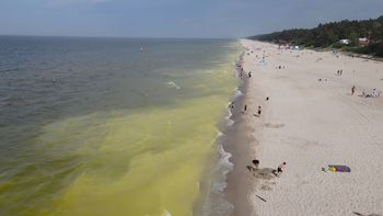 Dziwny kolor wody w Bałtyku. Turyści boją się, że to sinice