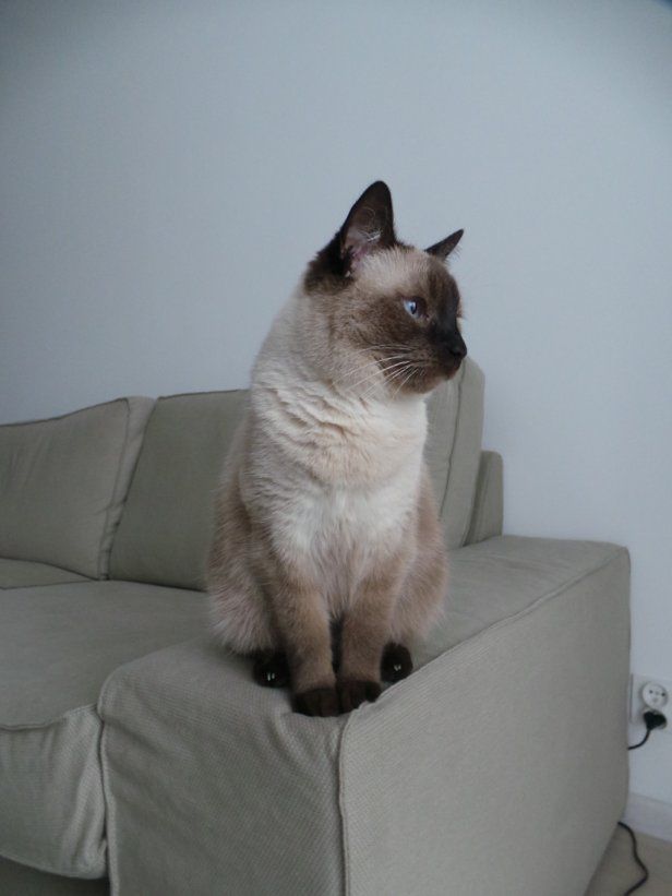 Samsung Galaxy Camera - aparat przyszłości bez przyszłości [test] 28