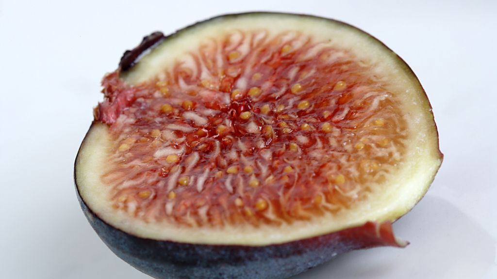 Figi w puszce w wodzie (owoce i płyn)