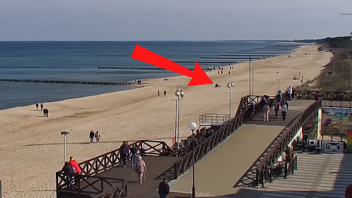 Taki widok na plaży w Mielnie.