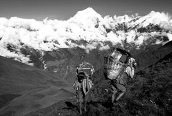 Kobieca wyprawa na Annapurnę