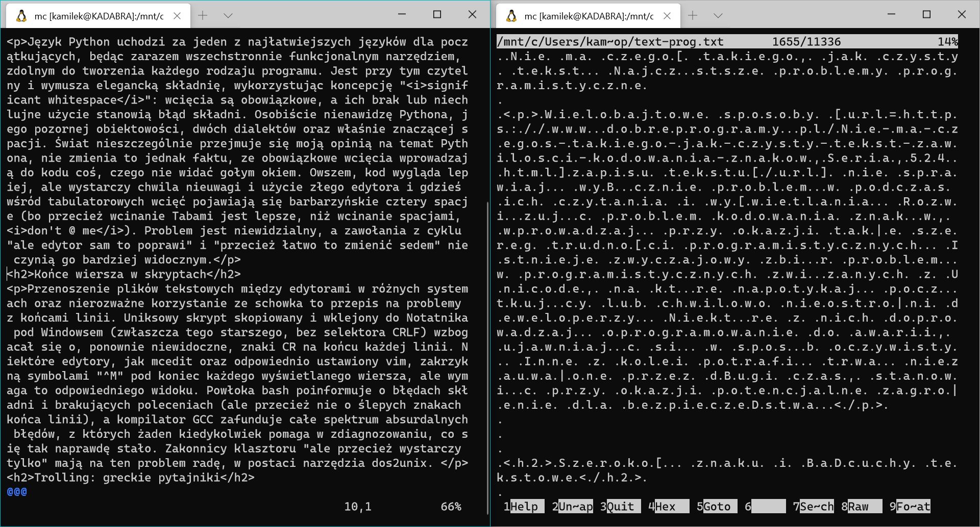 vim kontra mcedit (fot. Kamil Dudek)