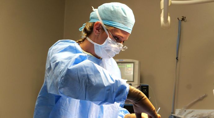 Weterynarze z Nebraski