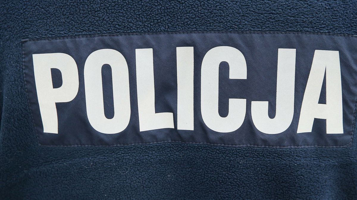 East News archiwum7Fot. Damian Klamka/East News. n/z policjant stojacy tylemDamian Klamka