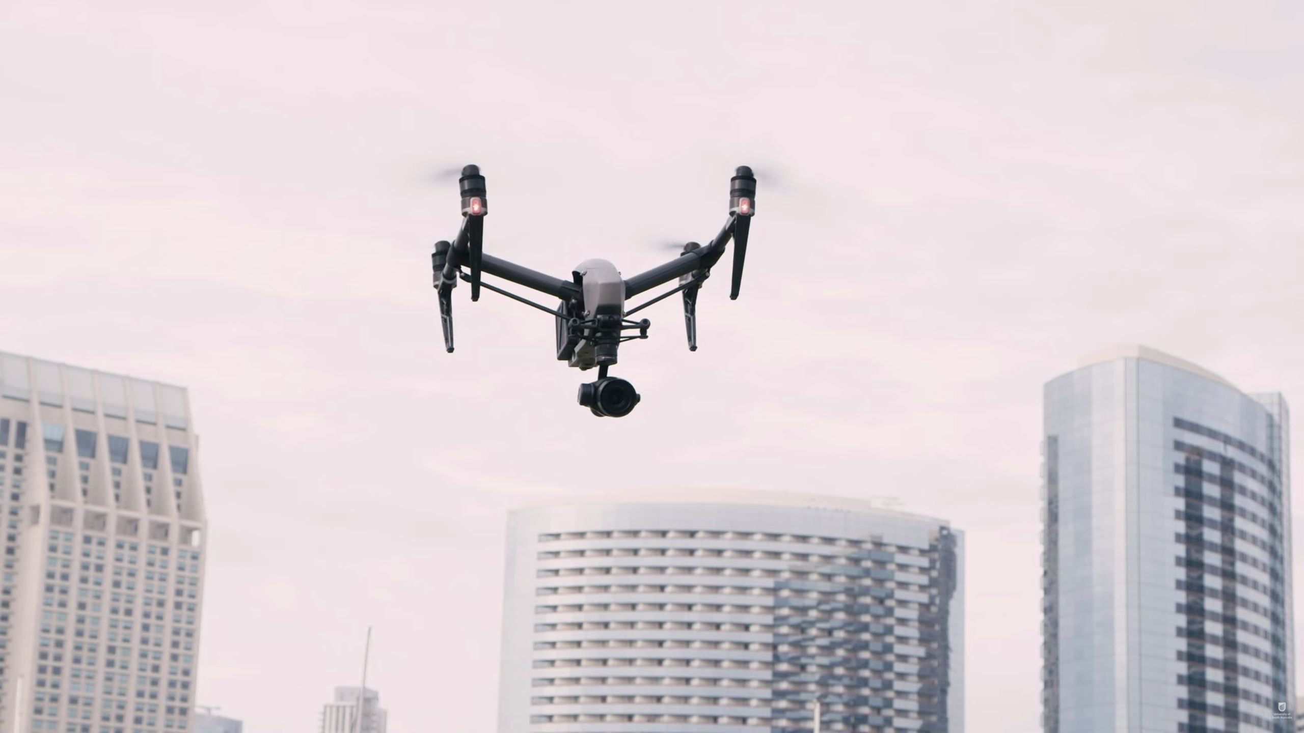 System wykrywania dronów powstał w oparciu o mózg owada. Może sprawdzić się w Ukrainie 2