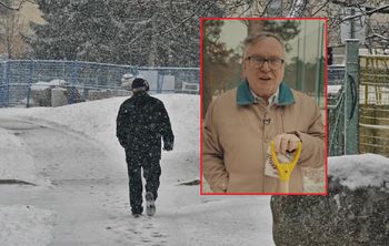 Czy sypać sól na chodniki? Naukowiec wygłosił zaskakującą teorię