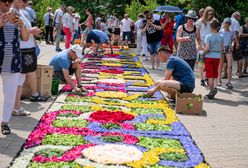 Lista UNESCO. Chcą wpisać dywany kwiatowe i sokolnictwo