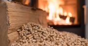 Miał być tani i ekologiczny, a bije po kieszeni. Ceny pelletu szaleją