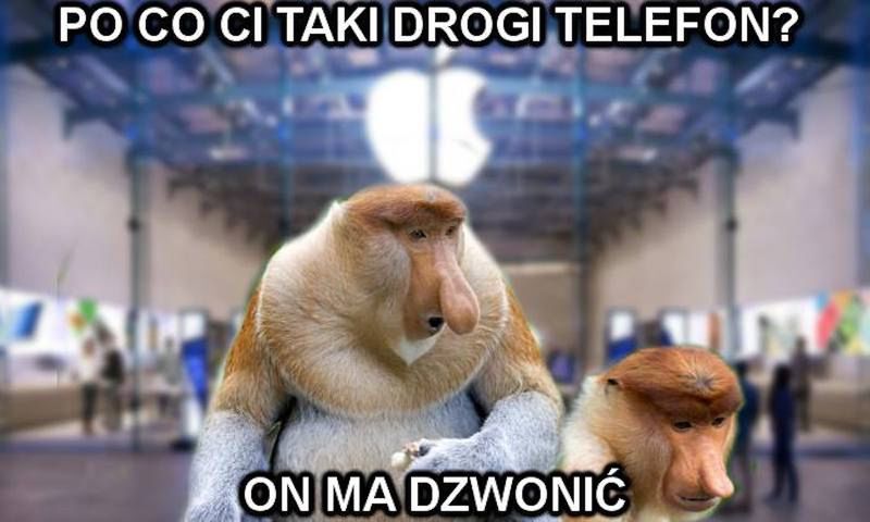 To mówisz świagier, że można na tym zarobić? Xiaomi Polska wsparło nosacze sundajskie 2