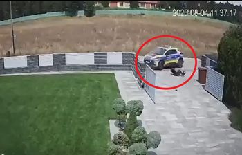 12-latek zderzył się z radiowozem. Policja o okolicznościach zdarzenia