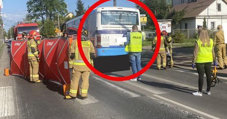 Ustalenia biegłego wstrząsające. A kierowca PKS nadal wozi pasażerów