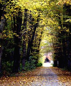 Z uśmiechem przez jesień