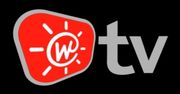 Polskie telewizje internetowe coraz bardziej popularne