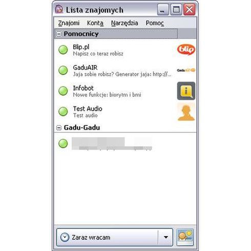 Jeśli nie Gadu-Gadu to co?