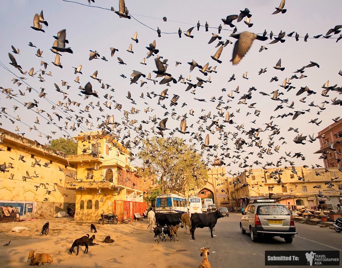 Konkurs Travel Photographer Asia 2016 to piękny przykład na połączenie dwóch pasji – fotografowania oraz podróży 4