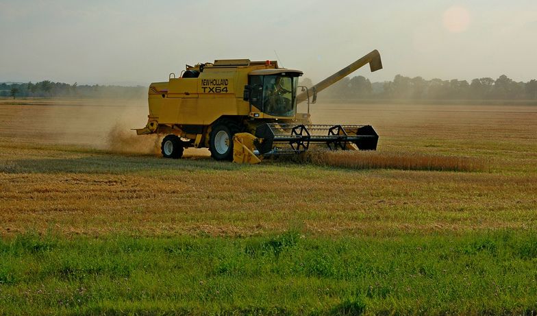 Sejm przyjął informację ministra rolnictwa nt. rynków rolnych