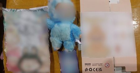 Pluszowe podróbki za 3 miliony złotych przechwycone w Świecku