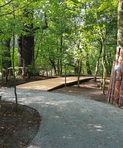 Wrocław. Park Kleciński powiększony. Pojawiły się nowe alejki, ławki i stojaki rowerowe