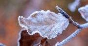 Ostrzeżenie meteo – przymrozki