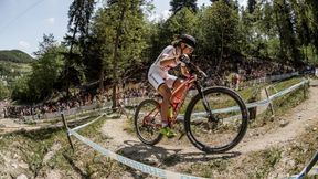 Rowery Mai Włoszczowskiej odnalezione. Złodziej złapany