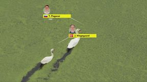 Łabędzie skradły show na trasie Tour de France. Faworyci "zmierzyli się na jeziorze"  [WIDEO]