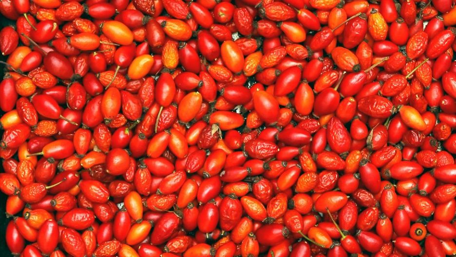 Dlaczego witamina C jest tak ważna? 5 produktów, które mają więcej tej witaminy niż cytryna