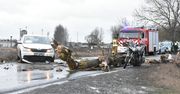 Małaszewicze: Uderzyła skodą w konar. Ucierpiał motorowerzysta