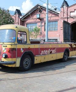 Wrocław. "Fredruś" doczekał się remontu. To jeden z nielicznych zachowanych autobusów-kabrioletów