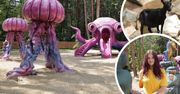 Skarżysko-Kamienna: Noe Park wkrótce rusza. Arka Noego była inspiracją