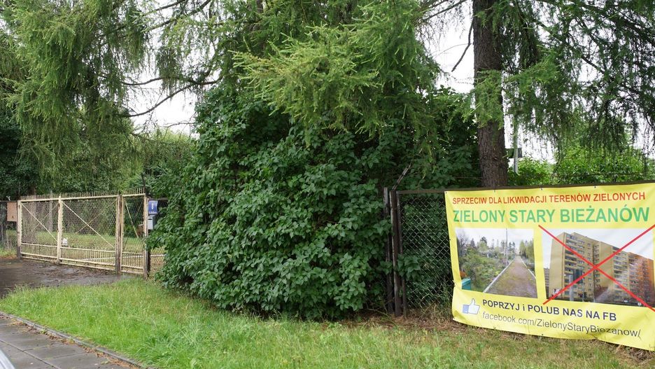 Ogródki działkowe przy ul. Drożdżowa w Krakowie
