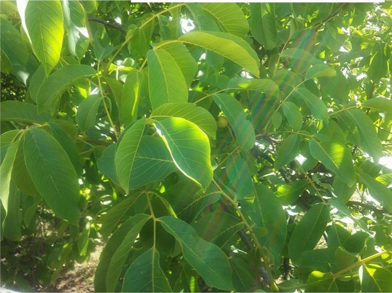 Samsung Galaxy Tab A – o czym należy wiedzieć przed zakupem? [recenzja konkursowa #1] 2